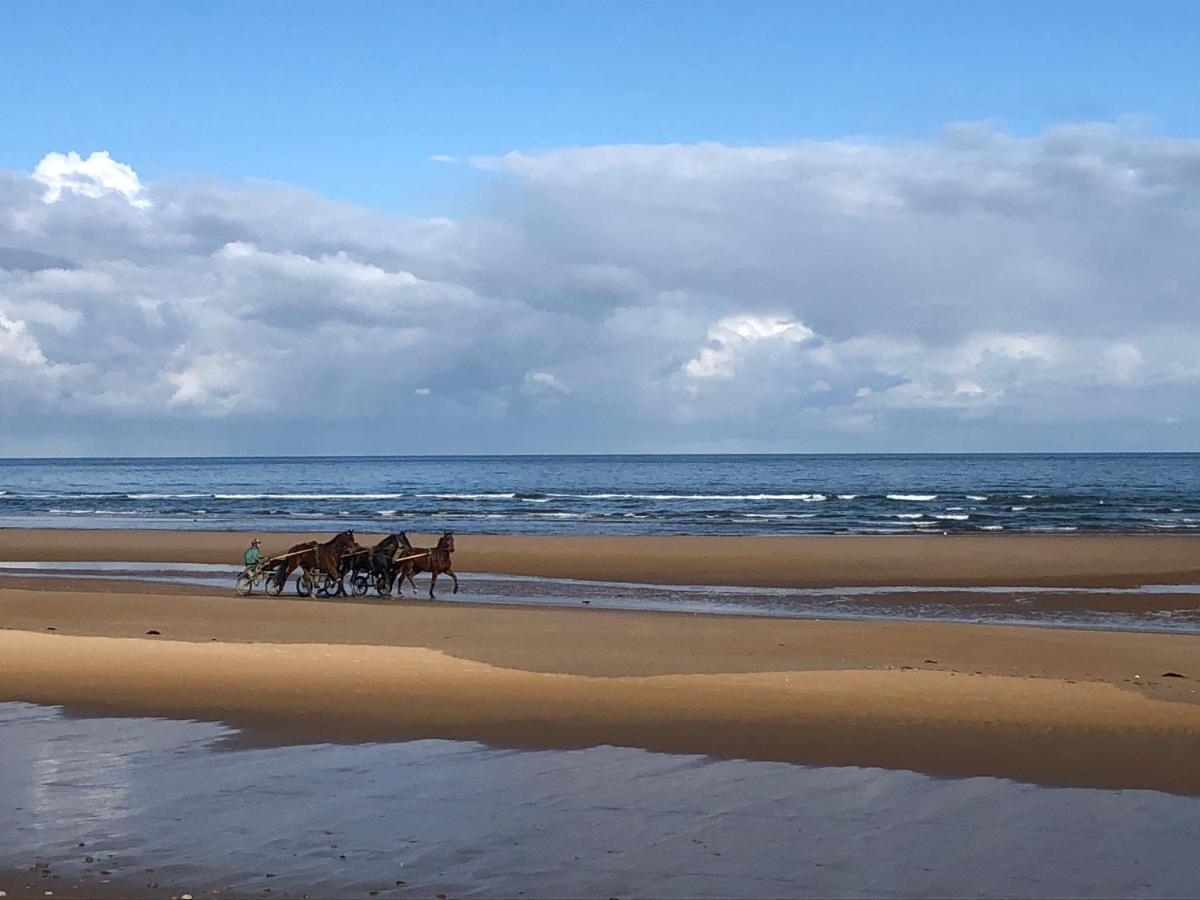 Maison Proche Omaha Beach Vue Imprenable Sur Haras Etreham Ngoại thất bức ảnh